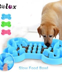 כלי אוכל עם חריצים לאכילה איטית ומבוקרת