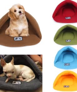 מיטות צבעוניות