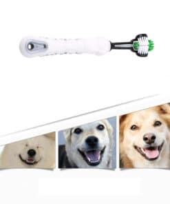 מברשת שיניים לחיות