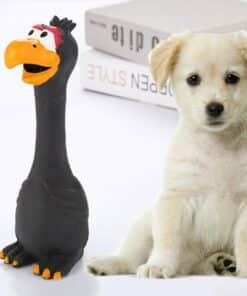 צעצועי לעיסה עופות צבעוניים